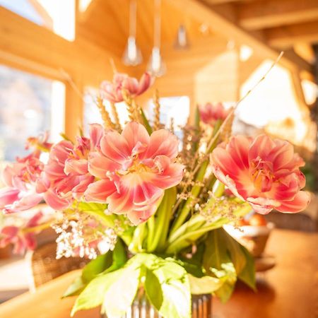 סן-שפרה Chalet Ski Academie - Serre Chevalier מראה חיצוני תמונה